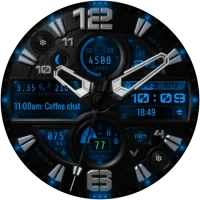 Lion_20240919_11383360