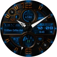 Lion_20240919_12501429