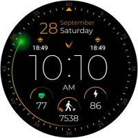 Neon_20240926_19345281