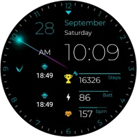 Shine_20240926_16221402