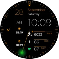 Shine_20240926_16270801