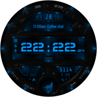 Wolf_20240921_09321466