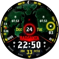 badsanta_20241023_14040793
