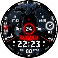 badsanta_20241023_16460045