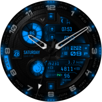 lion_us_20240924_13174155