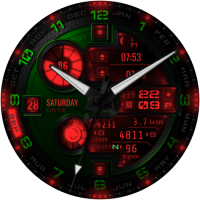 lion_us_20240924_15063323