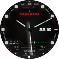 roadster_1672710300687