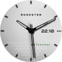 roadster_1672711369077
