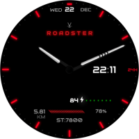 roadster_1672711474591